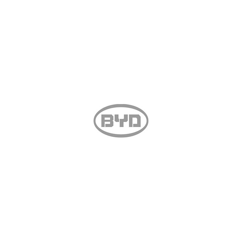 BYD